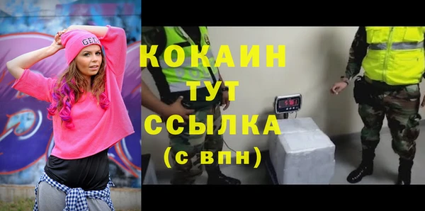 СК Каменка