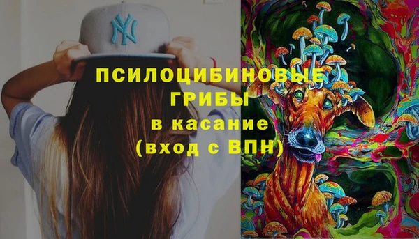 ешки Горняк