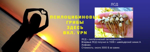индика Каменногорск