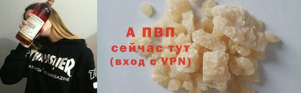 индика Каменногорск