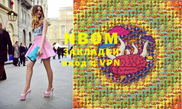 индика Каменногорск