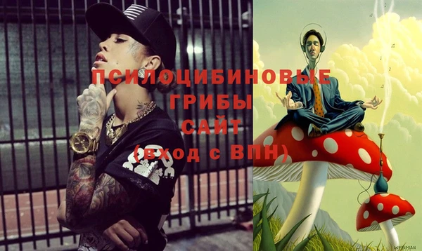 ешки Горняк