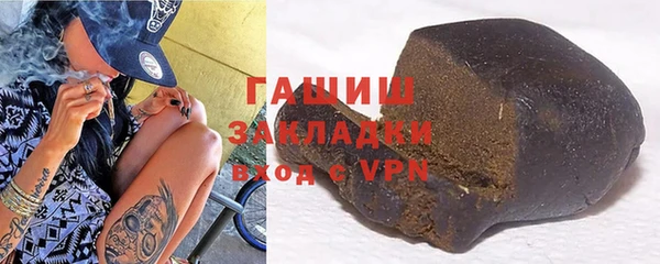 индика Каменногорск