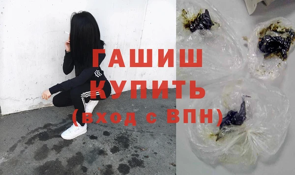 индика Каменногорск