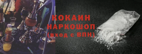 индика Каменногорск