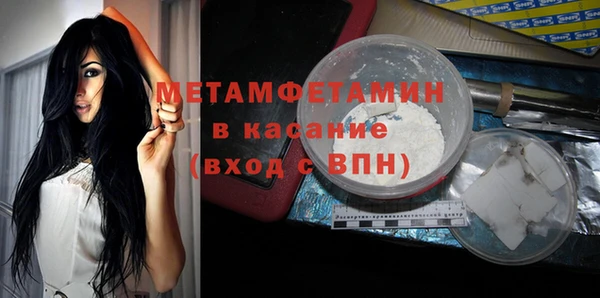 индика Каменногорск
