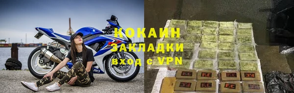 индика Каменногорск