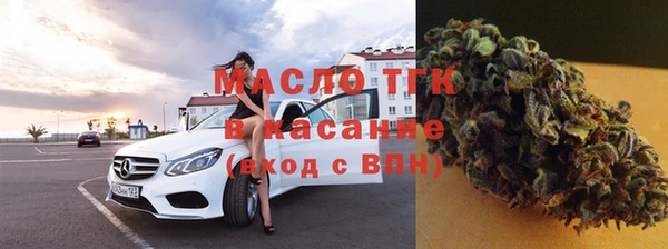 индика Каменногорск
