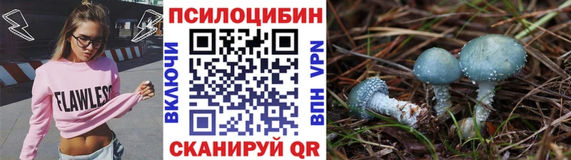 Галлюциногенные грибы MAGIC MUSHROOMS Лаишево